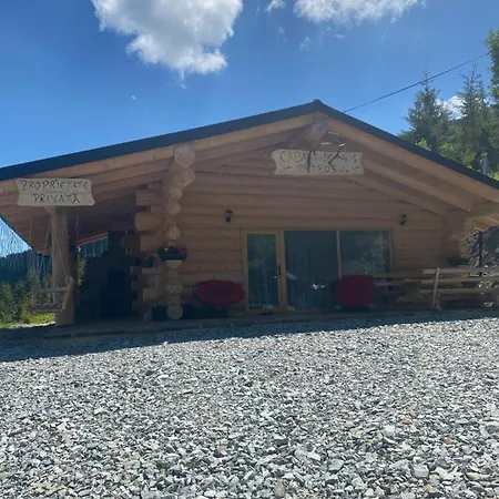 Holiday home De Vis Pietrosul Borsa (Maramures)
