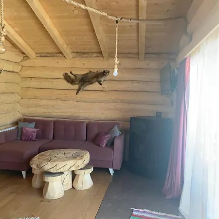 De Vis Pietrosul Borsa (Maramures)