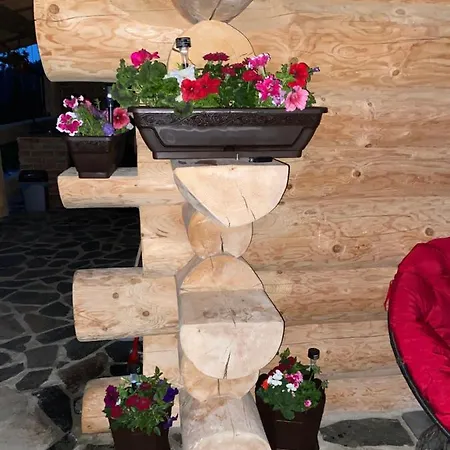 De Vis Pietrosul Holiday home Borsa (Maramures)