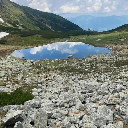 De Vis Pietrosul Case de vacanță