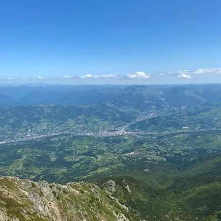 De Vis Pietrosul