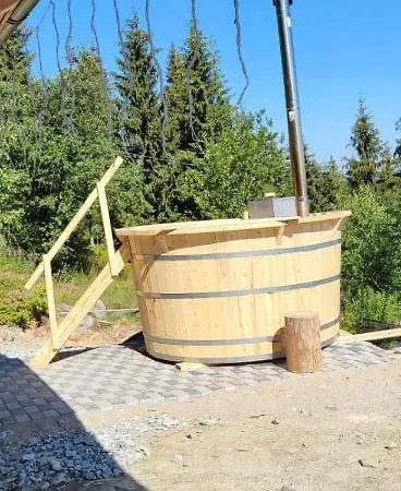 Case de vacanță De Vis Pietrosul