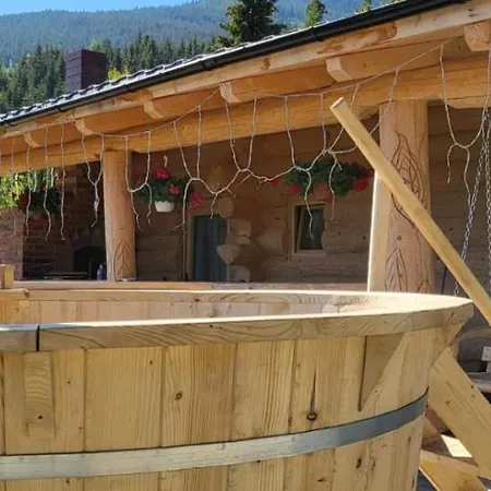 Holiday home De Vis Pietrosul Borsa (Maramures)
