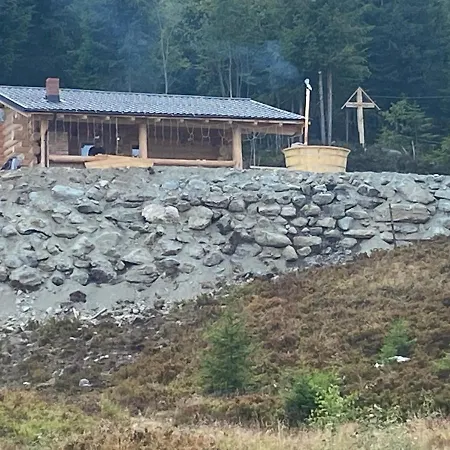 De Vis Pietrosul Borşa