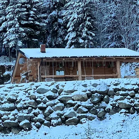 De Vis Pietrosul Holiday home Borsa (Maramures)
