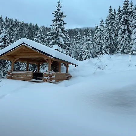 Case de vacanță De Vis Pietrosul
